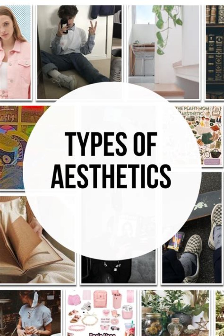 Explore The World Of Different Aesthetics
