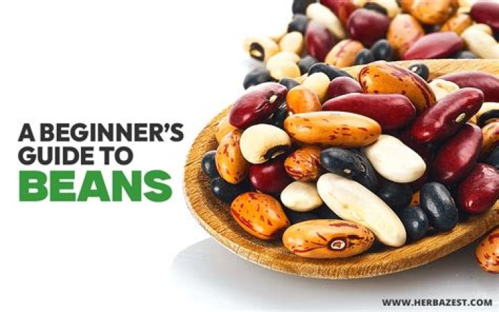The Ultimate Guide To Beans, Even Stevens